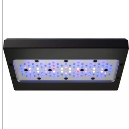 Ecotech Marine Radion XR30 G6 Blue
